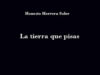«La tierra que pisas», de Honesto Herrera Soler: El haiku como geografía del alma