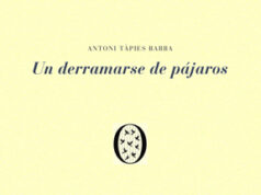 Un derramarse de pájaros, de Antoni Tàpies Barba. Lo que no se ve desde el patio