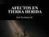 Afectos en tierra herida, de José Escolano Gil. Lo que queda cuando se apaga el ruido